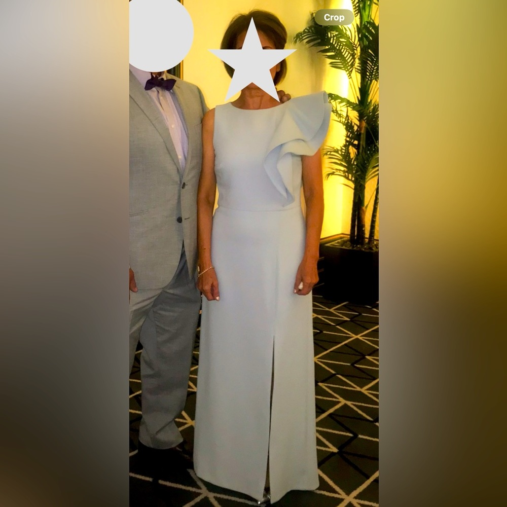 Halston Heritage Gown Size 6